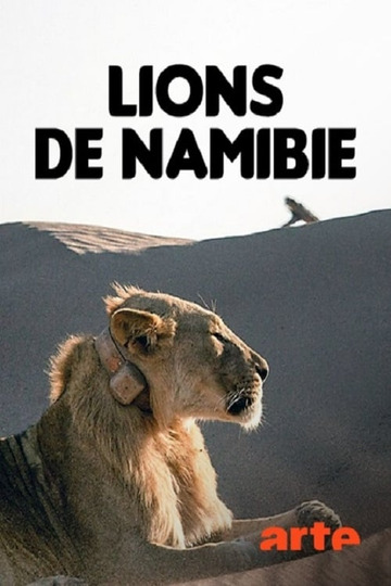 Lions de Namibie, les rois du désert