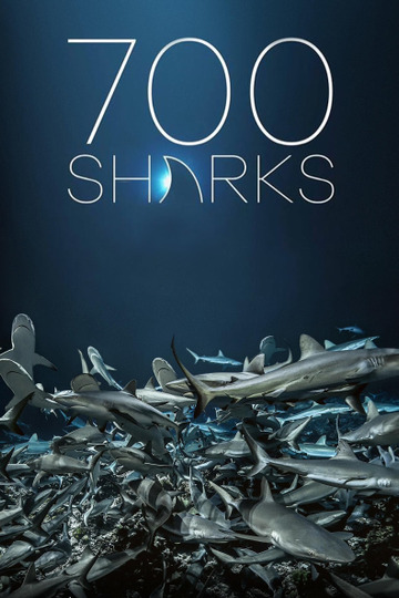 700 Sharks