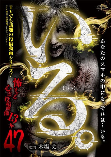 「Iru.」~ Kowasugiru Tōkō Eizō 13-hon ~ Vol.47