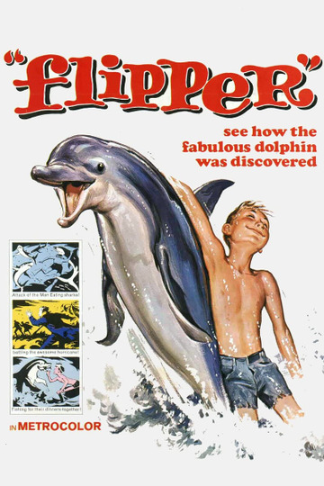 Flipper