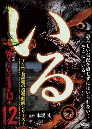 「Iru.」~ Kowasugiru Tōkō Eizō 13-hon ~ Vol.12