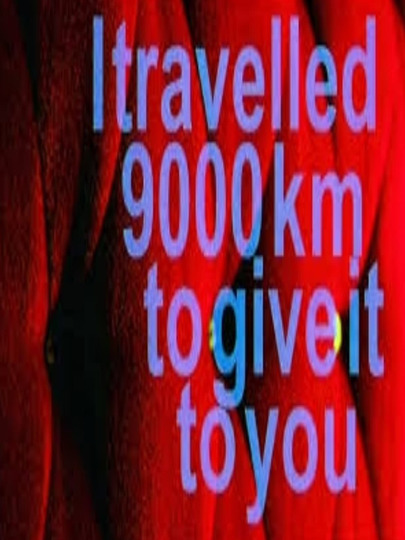 I Travelled 9000 km to Give It to You