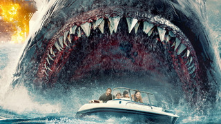 Shark 🦈 