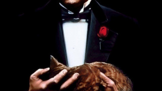 TOP 100 films in the history of cinema