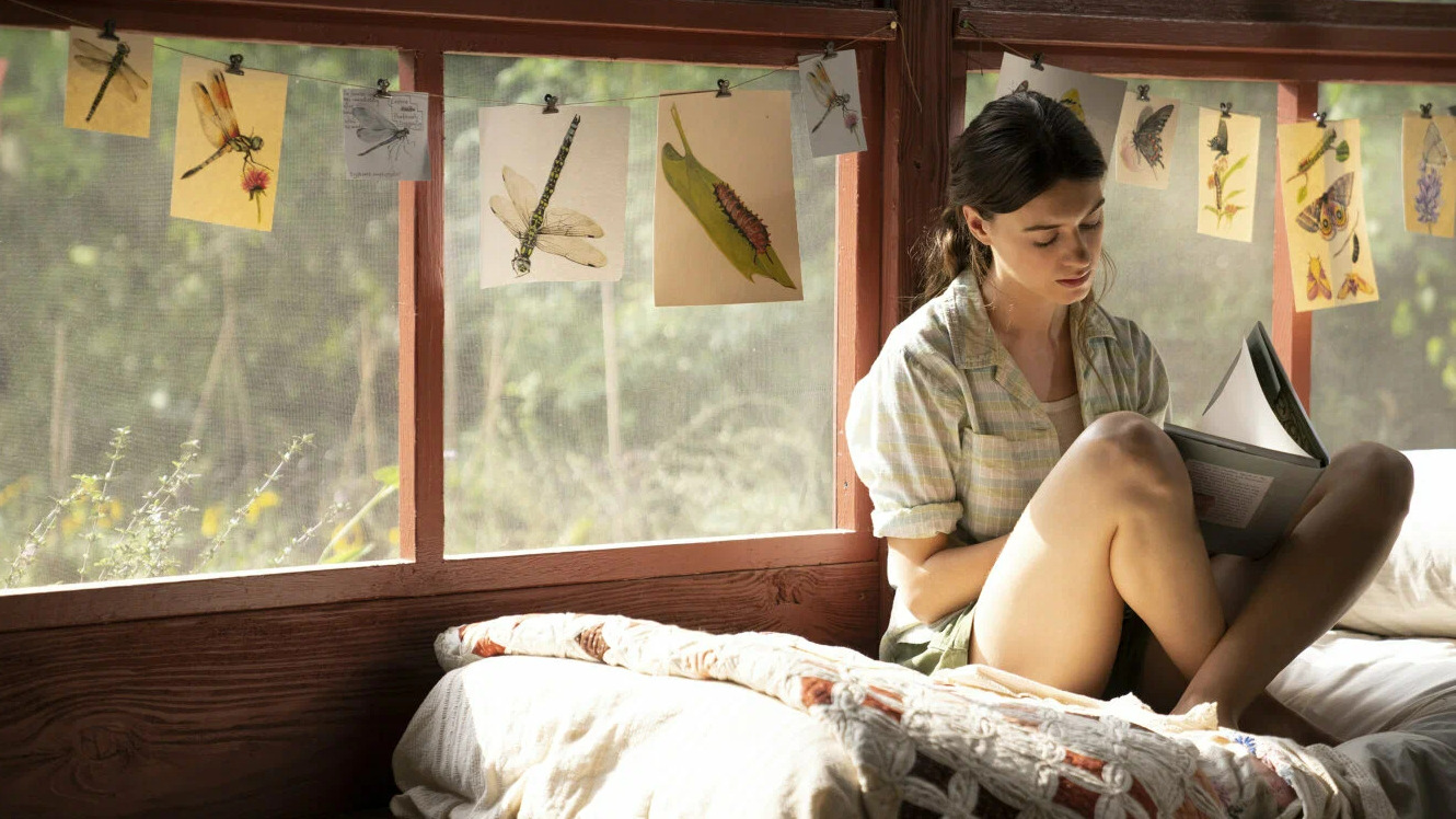 About love and war. 7 fresh adaptations of world bestsellers