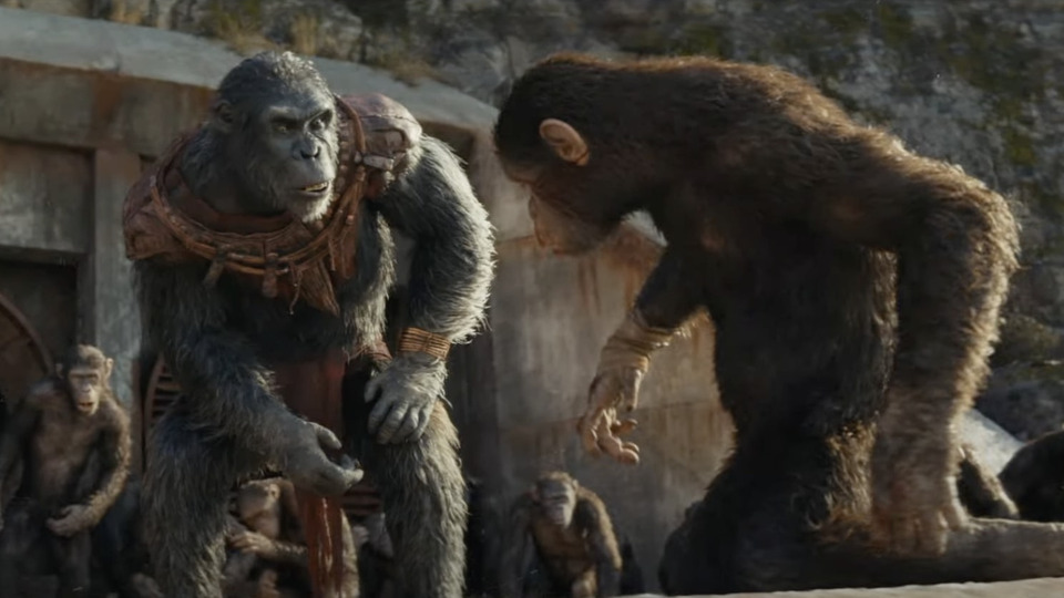 The final trailer for "Kingdom of the Planet of the Apes" starring Freya Allan has been released