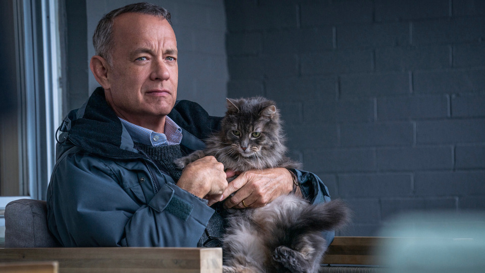 Том Хэнкс, пес и кот: фильмы с любимым актером, которые вы могли пропустить