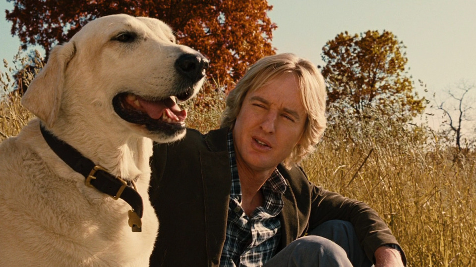 Owen Wilson turns 57: 7 great movies with the actor