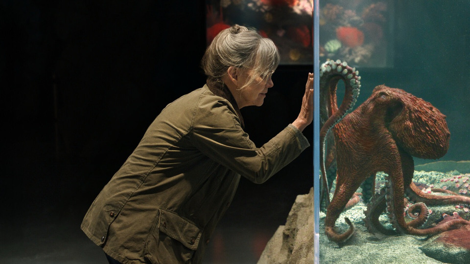 Netflix выпустил трейлер фильма «Удивительно умные создания»