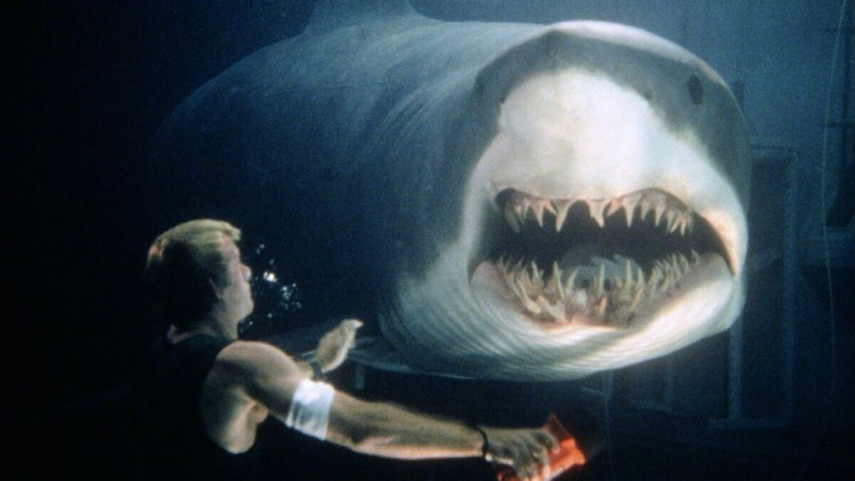 Бойтесь глубины: 7 фильмов про акул
