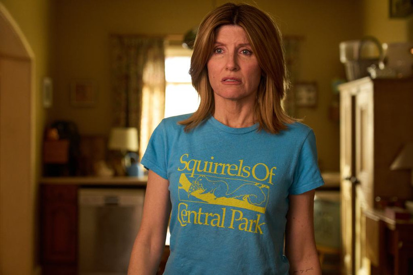 Sharon Horgan will screen the novel "Vladimir" by Julia May Jonas