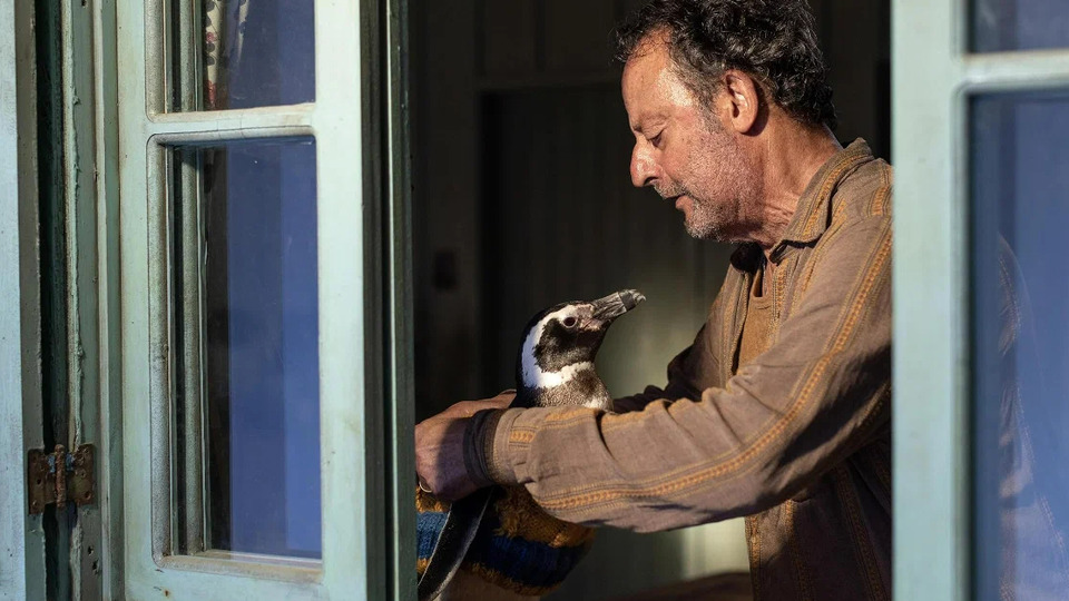 7 real-life animal friendship movies
