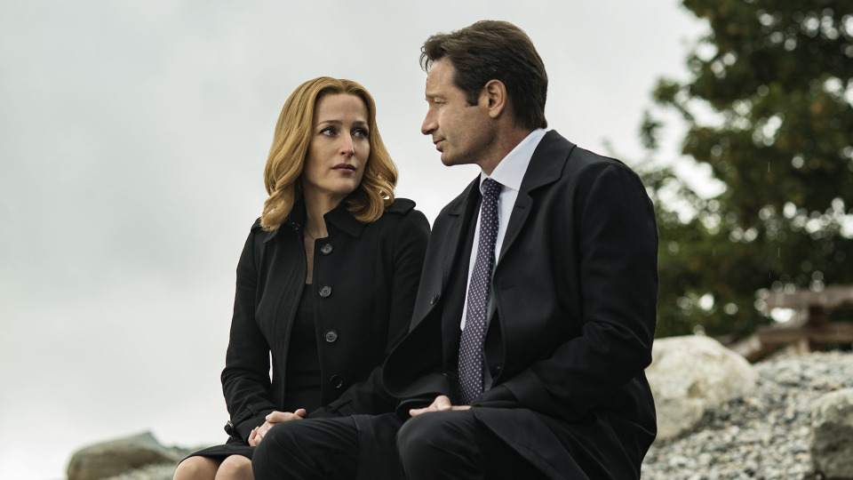 "Sex Education," "The X-Files" and five more shows with Gillian Anderson