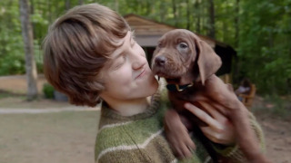 Netflix показал первый тизер сериала «Скуби-Ду: Начало»