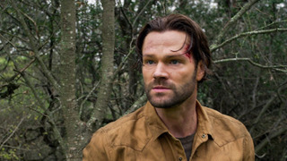 CW закрыл «Уокера» с Джаредом Падалеки после четвертого сезона