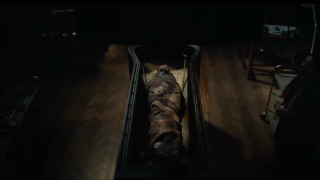 «Она жива»: вышел трейлер фильма «Мумия»