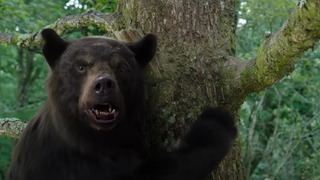 Вышел трейлер фильма Cocaine Bear о медведе, объевшимся кокаина