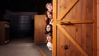 Netflix has begun filming a series based on "Scooby-Doo"