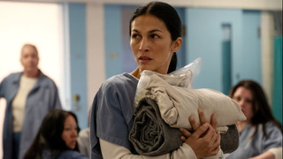 Fox shut down "The Cleaning Lady" and "Alert: Missing Persons Unit" after new season finales
