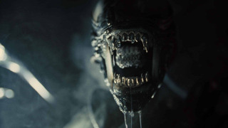 Посмотрите финальный трейлер фильма «Чужой: Ромул»