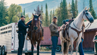 CBS продлил сериал «Йеллоустоун: Маршалы» на второй сезон
