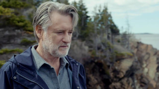 USA Network закрыл антологию «Грешница»