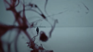 Что посмотреть на этой неделе? Премьеры сериалов 4—10 декабря