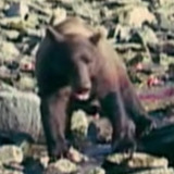 The Grinch — Self (archive footage)