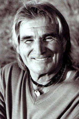 Војислав Говедарица