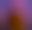 Image was not loaded