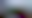 Image was not loaded
