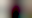 Image was not loaded