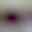 Image was not loaded