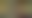 Image was not loaded