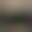 Image was not loaded