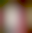 Image was not loaded