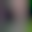 Image was not loaded