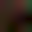 Image was not loaded