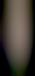 Image was not loaded