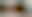 Image was not loaded