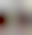 Image was not loaded