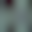 Image was not loaded