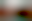 Image was not loaded