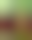 Image was not loaded