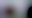Image was not loaded