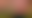 Image was not loaded
