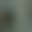 Image was not loaded