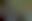 Image was not loaded