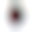 Image was not loaded
