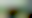 Image was not loaded